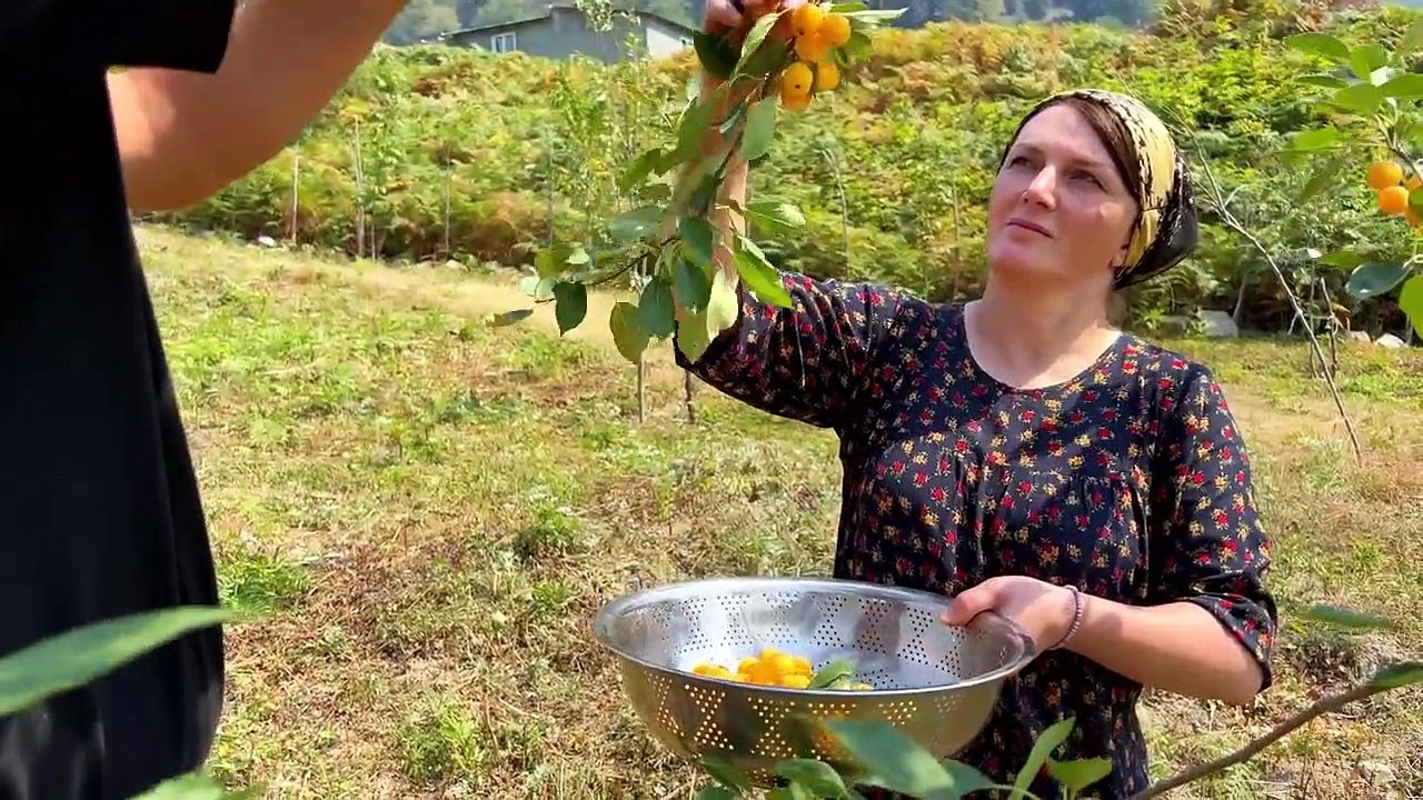 Vegetable Asorti and Bread for a Snack ||World Food Ellist