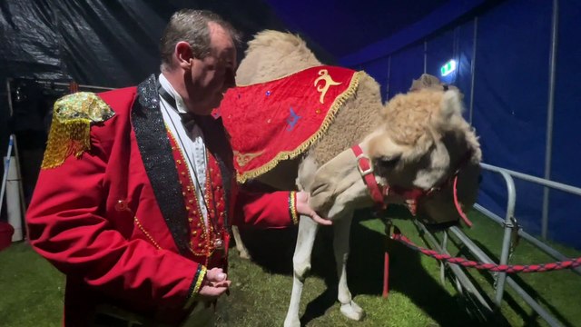 Hudson’s Circus Armidale, NSW. Video by Rachel Gray for ACM