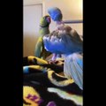 Cute Talking Parrot Video Compilation of Funny and Cute Bird 2022