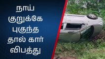 வேடசந்தூர்:காரின் குருக்கே நாய் புகுந்ததால் கார் கவிழ்ந்து விபத்து!