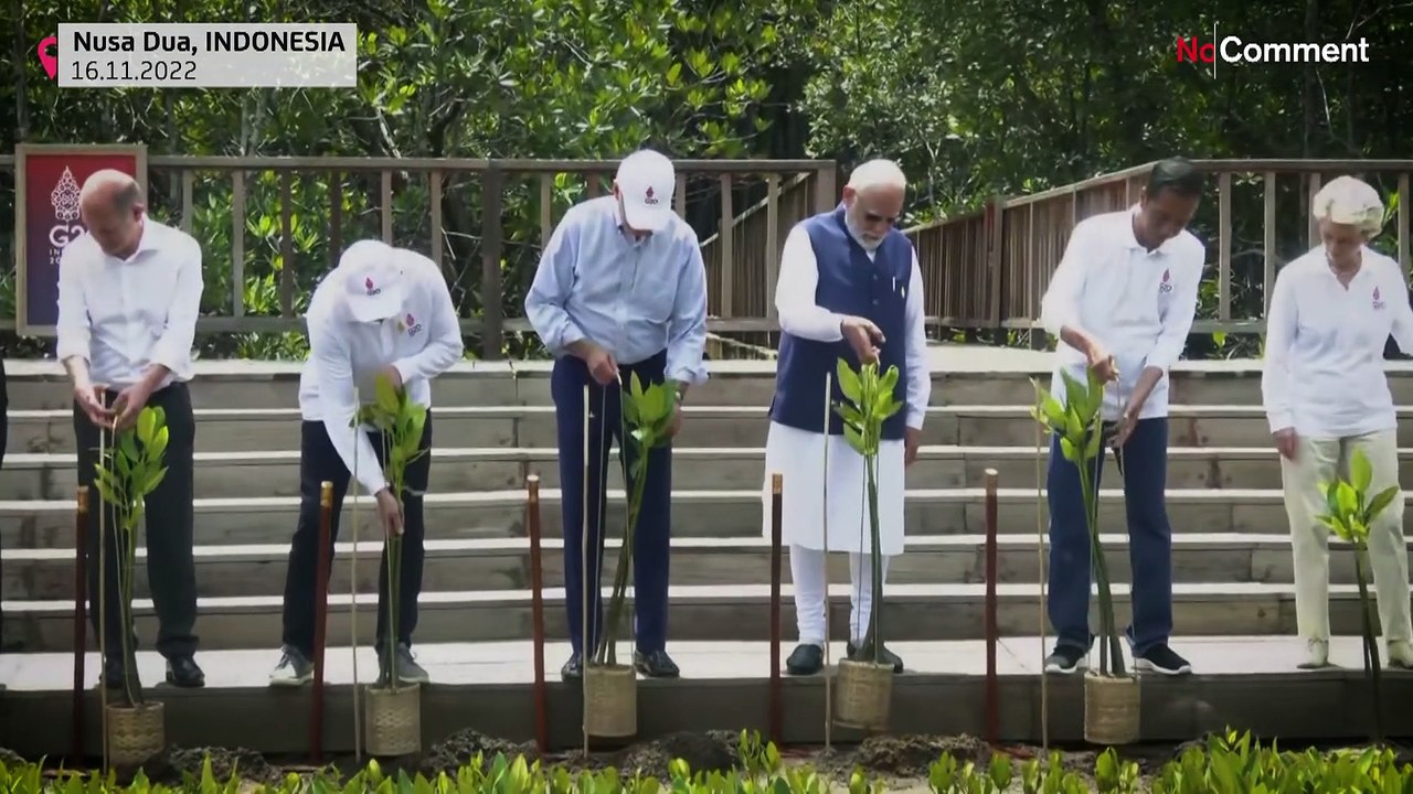 Bali: Regierungschefs der G20 pflanzen Mangroven