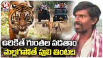 People Living Under The Fear Of Tigers Wandering At Pen Ganga River | Adilabad Dist | V6 News