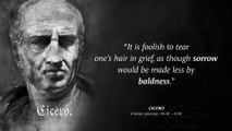 Cicero's Quotes which are better known in youth to not to Regret in Old Age