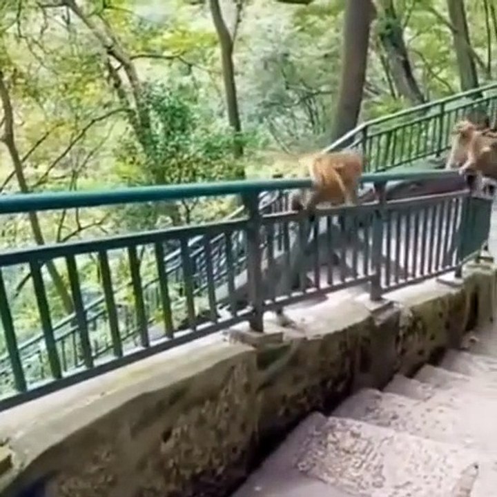 Cute Animal Part 11 !!!