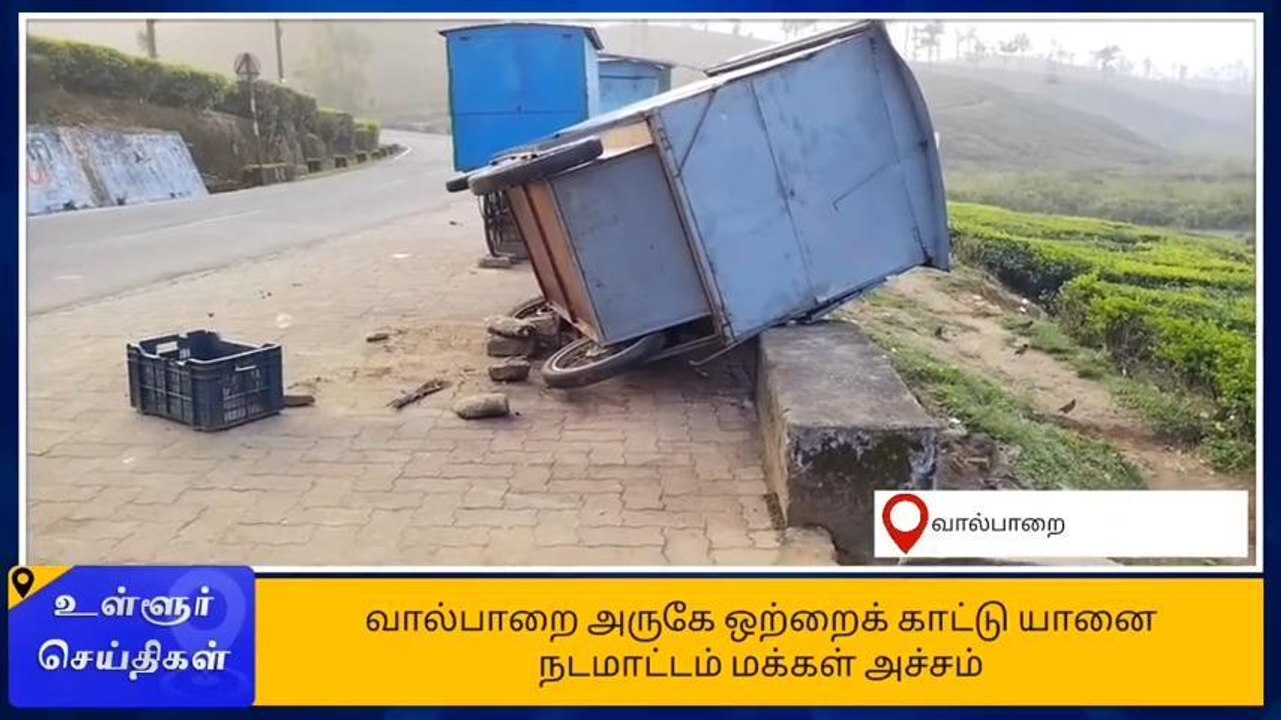 கன்று குட்டியை கொன்று கடைகளை சேதப்படுத்திய காட்டு யானை!