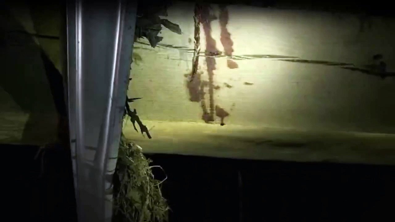 Die Monster-Jäger - Bestien auf der Spur Staffel 4 Folge 1 - Part 02 HD Deutsch