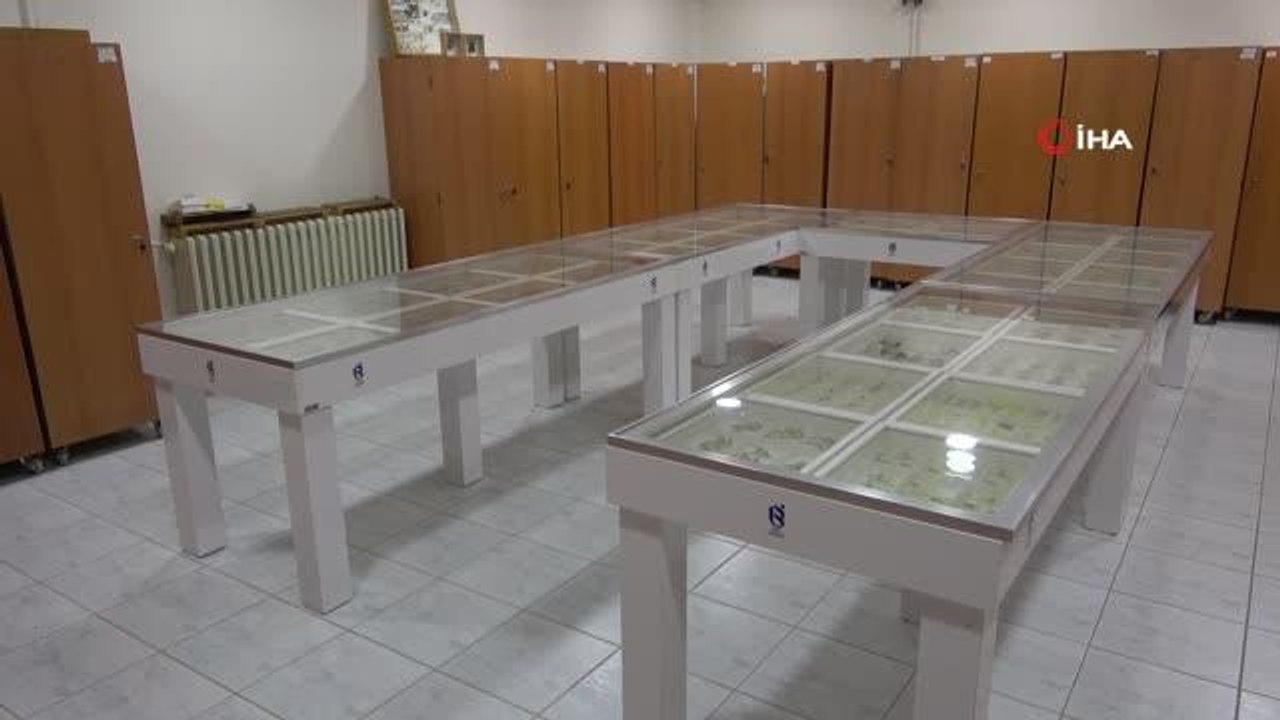 30 bin tür böcek türü müzede sergileniyor