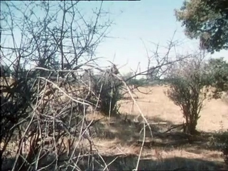 Bonanza staffel 14 folge 9 hd deutsch