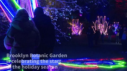 Holiday light show kicks off at Brooklyn Botanic Garden