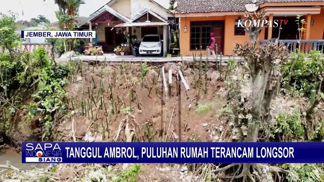 Tanggul Ambrol, Permukiman Warga di Bantaran Sungai Manggisan Jember Terancam Longsor