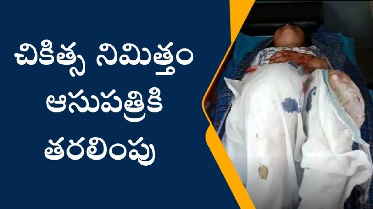 డోర్నకల్: రైలు నుండి జారిపడిన యువతి