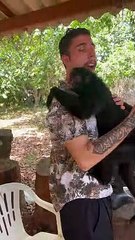 Monkey Suprises Man With Hug