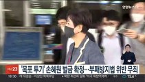 '목포 투기' 손혜원 벌금 확정…부패방지법 위반 무죄