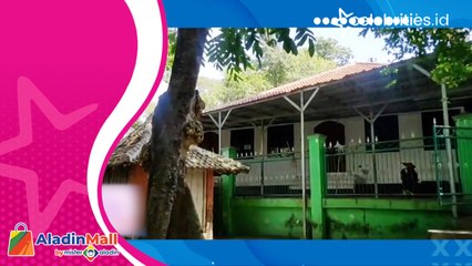 Ini Mitos Kutukan Monyet di Petilasan Sunan Kalijaga