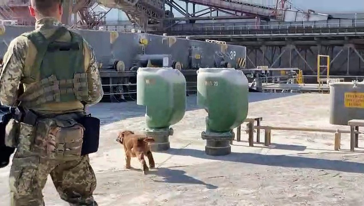 Getreideabkommen zwischen Russland und der Ukraine verlängert