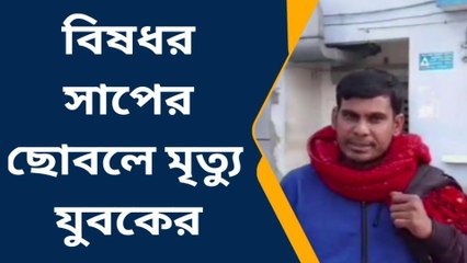 বহরমপুর: সাপের ছোবলে প্রাণ গেল যুবকের