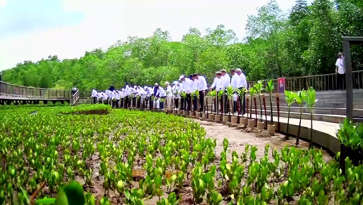 G20 Summit Rewind: Momentous occasion as India assumes G20 Presidency | PM Modi's bilateral meetings