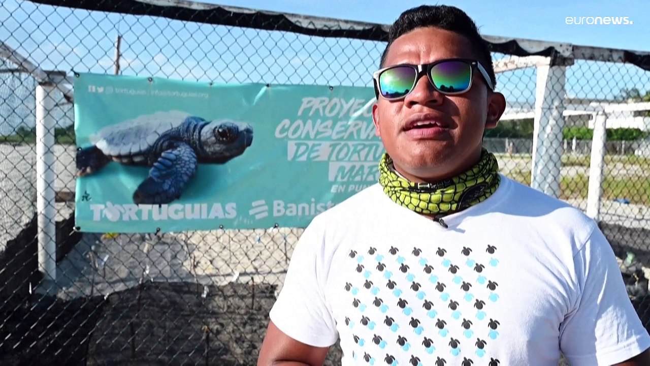 "No son afrodisíacos": la fama que amenaza los...