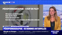 Comment les pédophiles sont-ils repérés ? BFMTV répond à vos questions