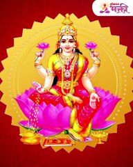 सावधान..गायला शिळी भाकर खायला देताय  होऊ शकता कंगाल