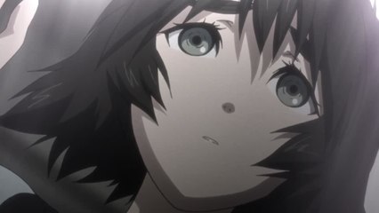 Steins;Gate Trailer VF