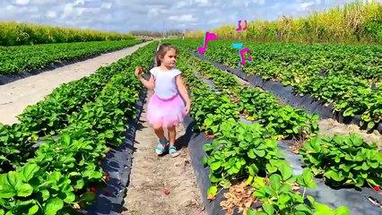 يجمع ناستيا وأرتيم الخضار والفراولة من المزرعة لصالح ميا