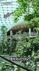 [세로뉴스] 알고보면 더 재밌다…카타르 월드컵 특별한 이야기