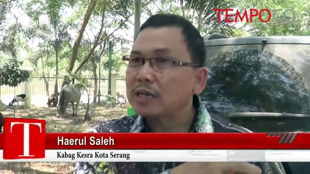 MUI: Hewan Kurban Dibeli dari Duit APBD Ini Tidak Sah; Kenapa?