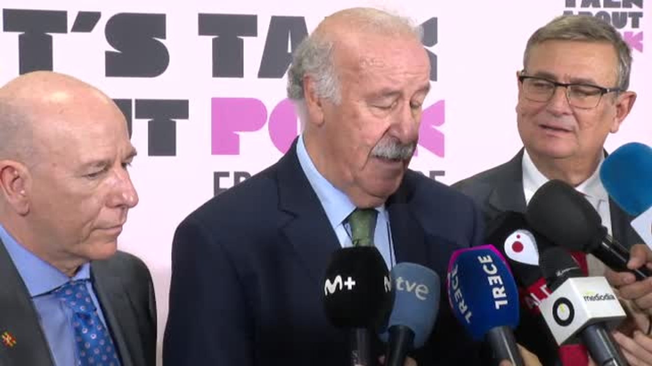 Vicente del Bosque: "Debemos tener la máxima confianza en la selección"