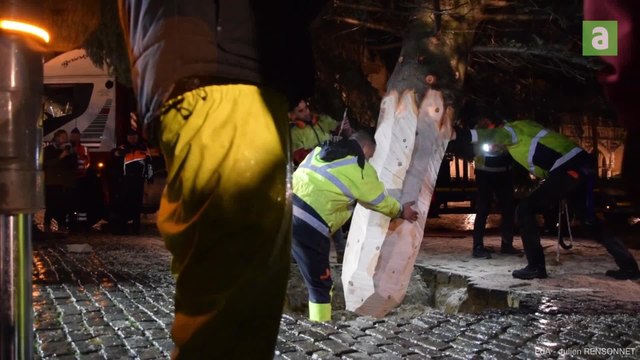 Le sapin de Raeren est planté sur la Grand-Place de Bruxelles