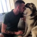 This dog can understand its owner
