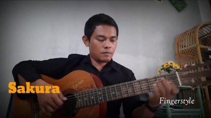 sakura fingerstyle cover acoustic