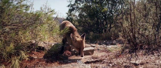 The Time of Secrets -  Le Temps des secrets - Trailer