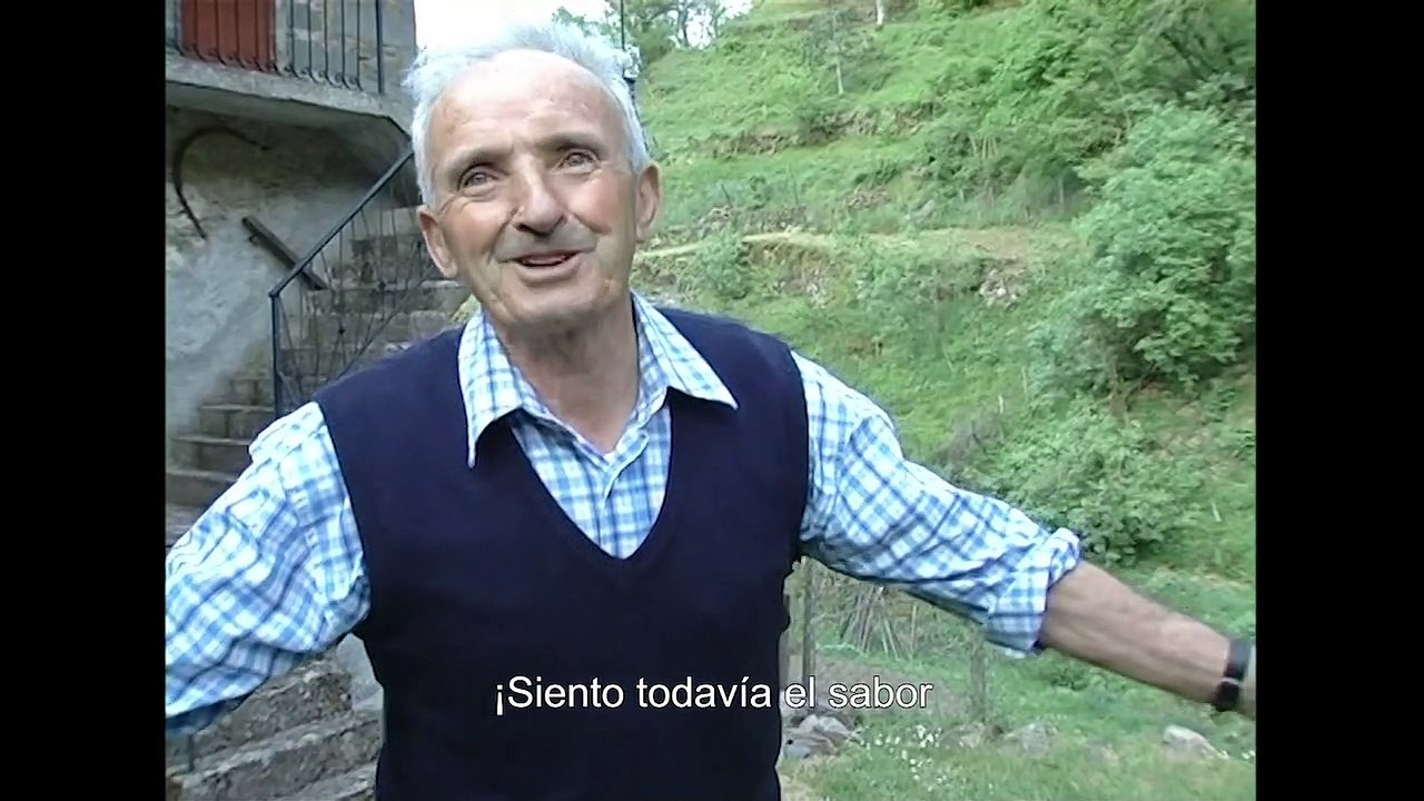 Bosco - Tráiler -