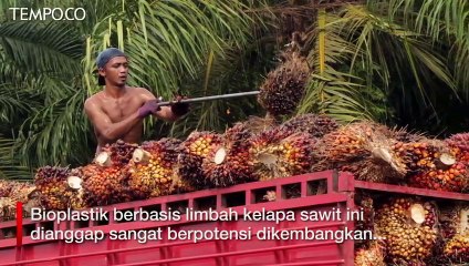 LIPI Kembangkan Plastik dari Limbah Sawit, Bisa Terurai Cepat