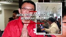 Nyoblos di Osaka, Ahok Mengaku Sempat Marahi Panitia Pemilu