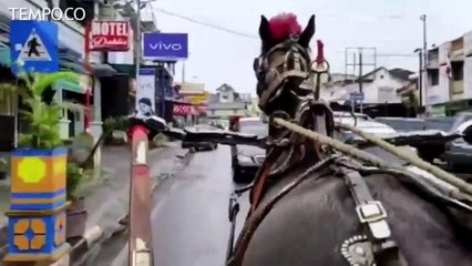 Mudik Lewati Bukittinggi, Jam Gadang Destinasi Wisata Favorit