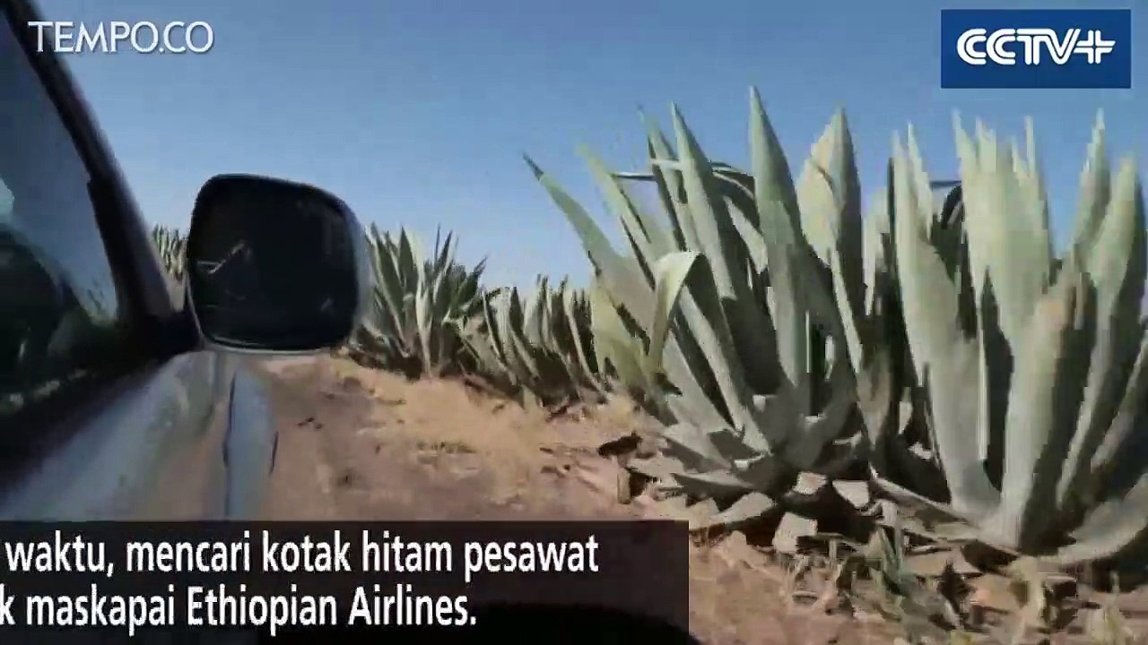 Berpacu Mencari Black Box Pesawat Ethiopian Airlines