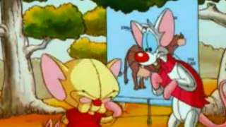 Pinky And The Brain - S3E37 E38 - The Megalomaniacal Adventures Of Brainie The Poo - The Melancholy Brain