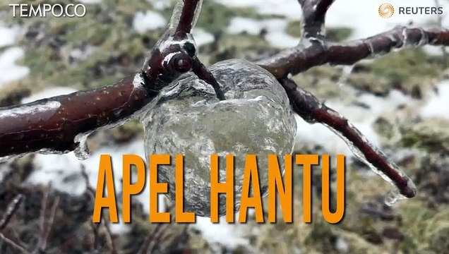 Apel Hantu Muncul di Michigan usai Badai Es, Ini Penampakannya
