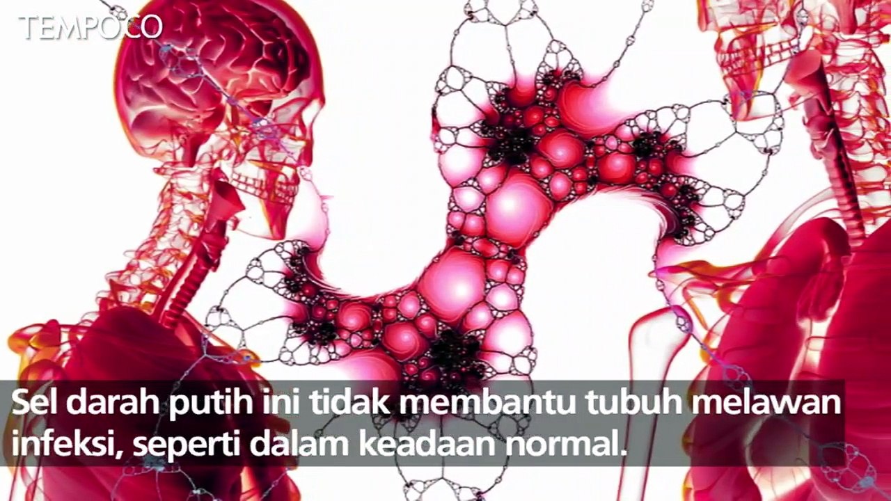 Ani Yudhoyono Divonis Kanker Darah, Kenali Jenis-jenisnya