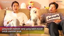 Lebih Suka Punya Hewan Peliharaan ketimbang Punya Anak