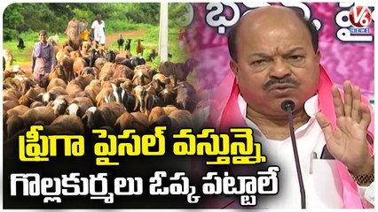 TRS MLC Yegge Mallesham Fire On Rajagopal Reddy Comments  | Sheep Distribution Scheme  | V6 News (1)