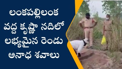 లంకపల్లిలంక వద్ద కృష్ణా నదిలో రెండు అనాథ శవాలు