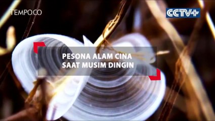 Pesona Alam Cina Saat Musim Dingin