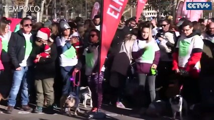 Ratusan Anjing Turun ke Jalan untuk Promosikan Sadar Adopsi Hewan