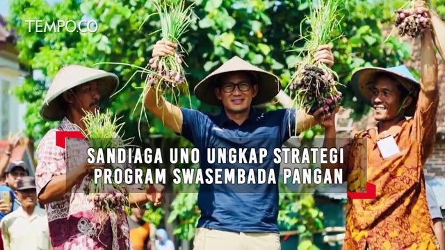Sandiaga Uno Ungkap Strategi Program Swasembada Pangan