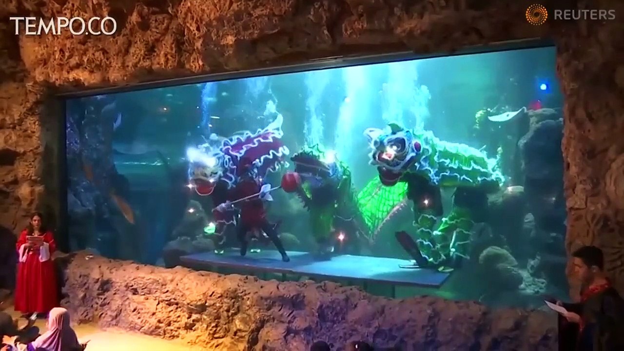 Rayakan Imlek, Sea World Gelar Atraksi Barongsai dalam Air