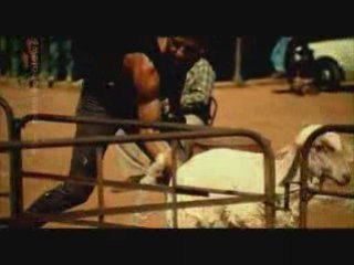 Złoty Medal Australia