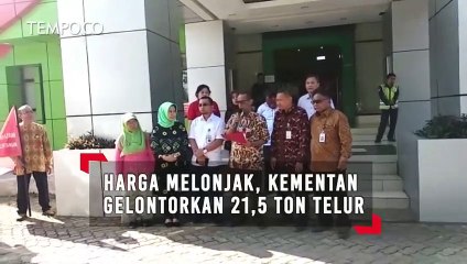 Harga Melonjak, Kementan Gelontorkan 21,5 Ton Telur